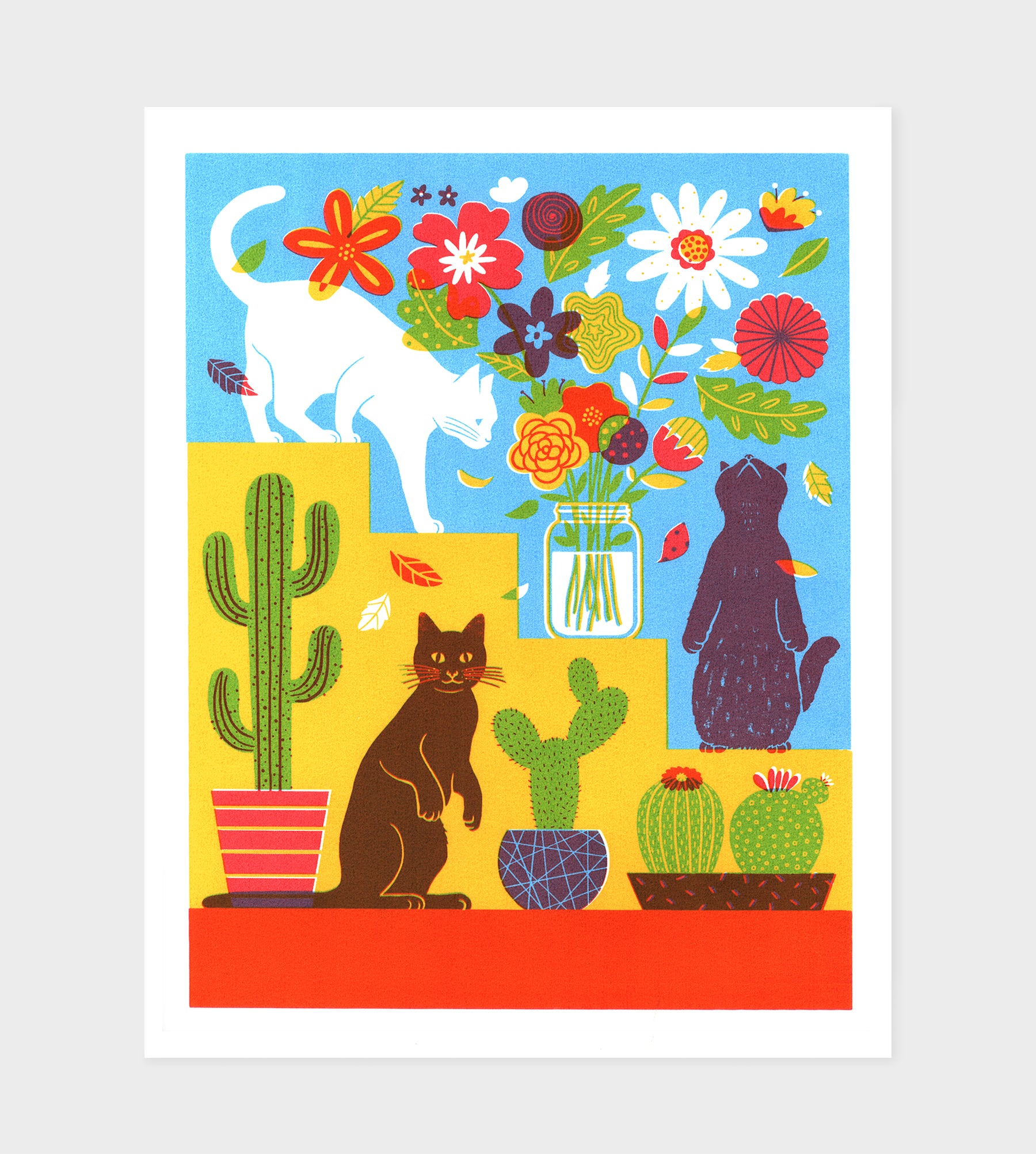 Cats Flowers, and Cactus