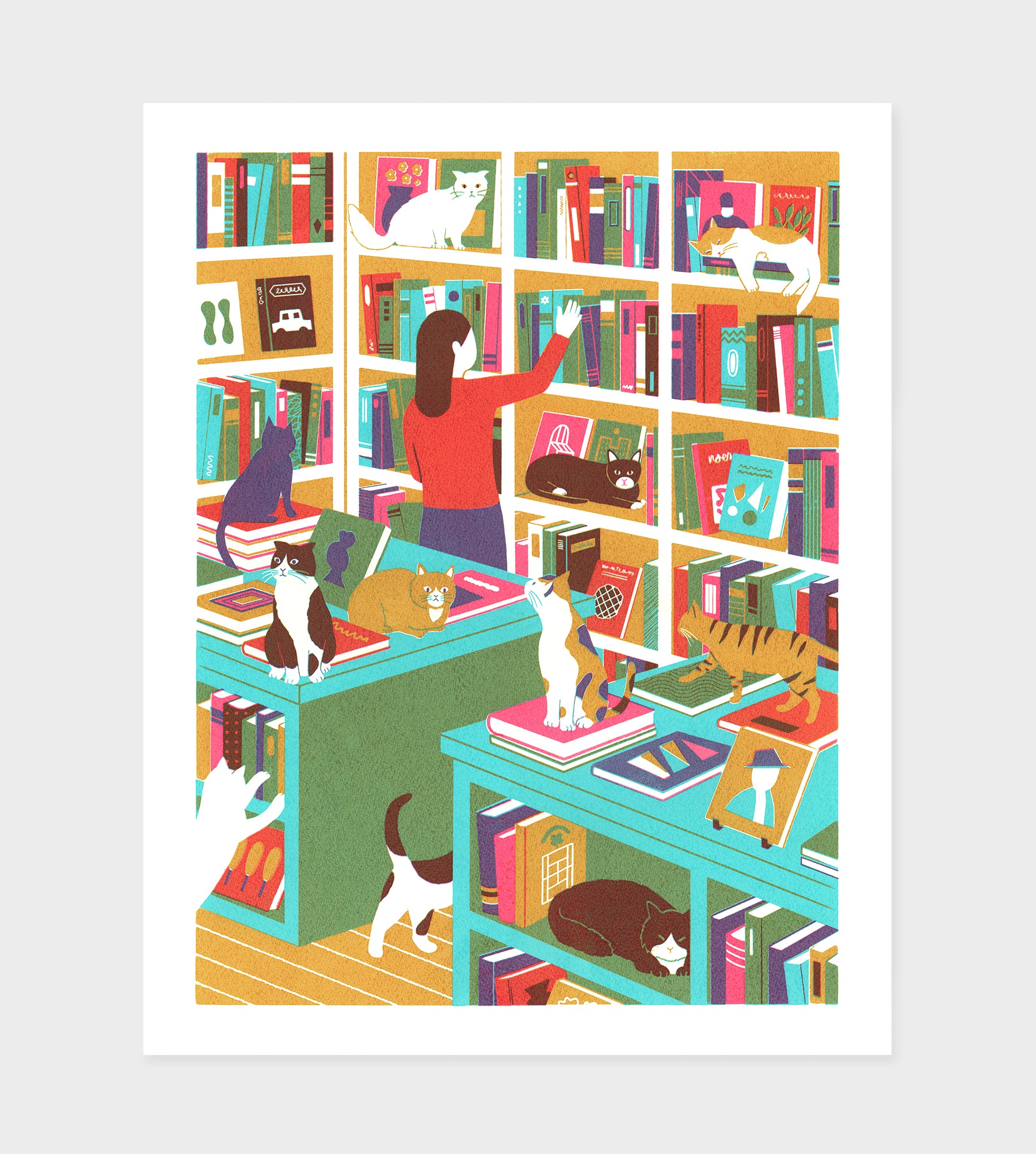 Bookstore Cats