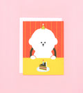 Cake Slice