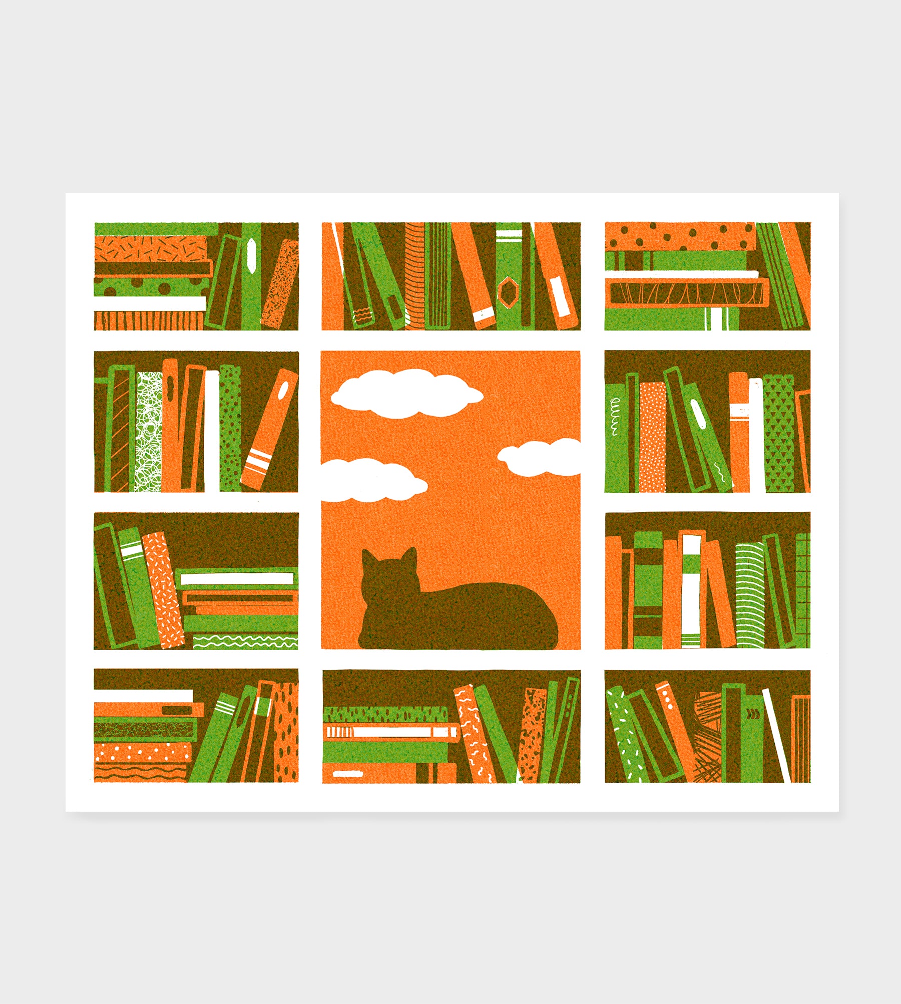 Cat on the Bookshelf