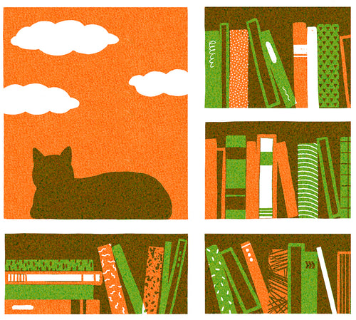 Cat on the Bookshelf