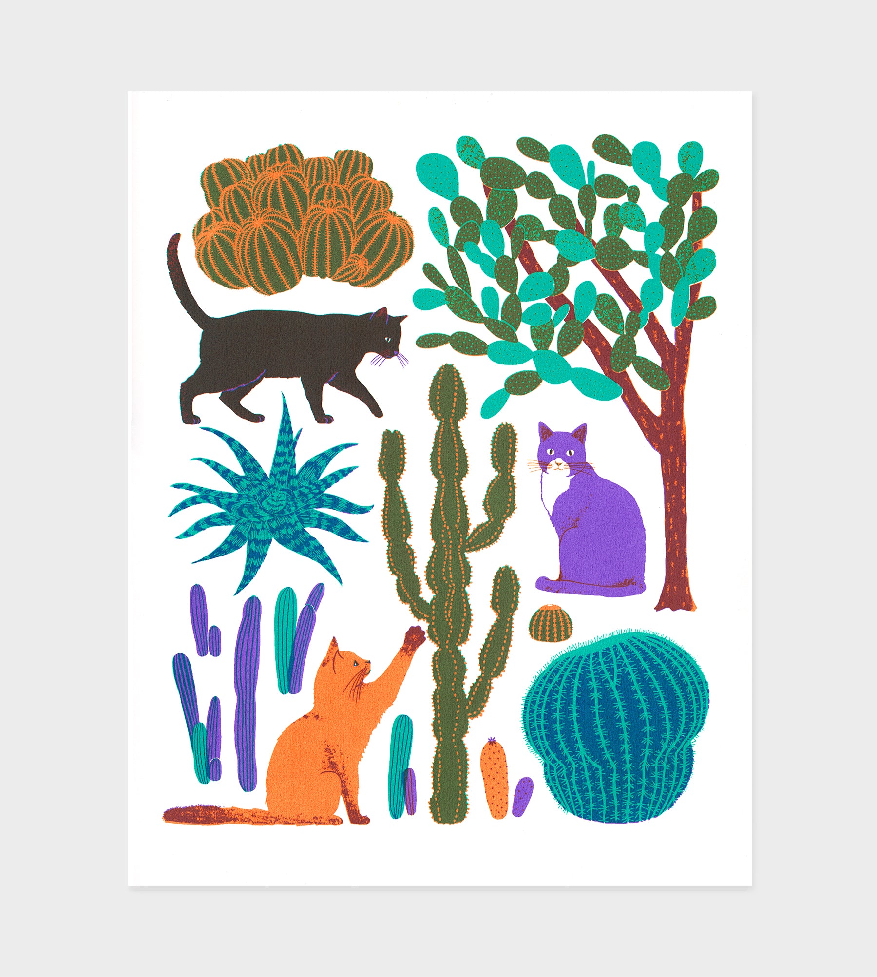 Cats and Cacti