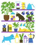 Dogs on Shelves