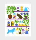 Dogs on Shelves