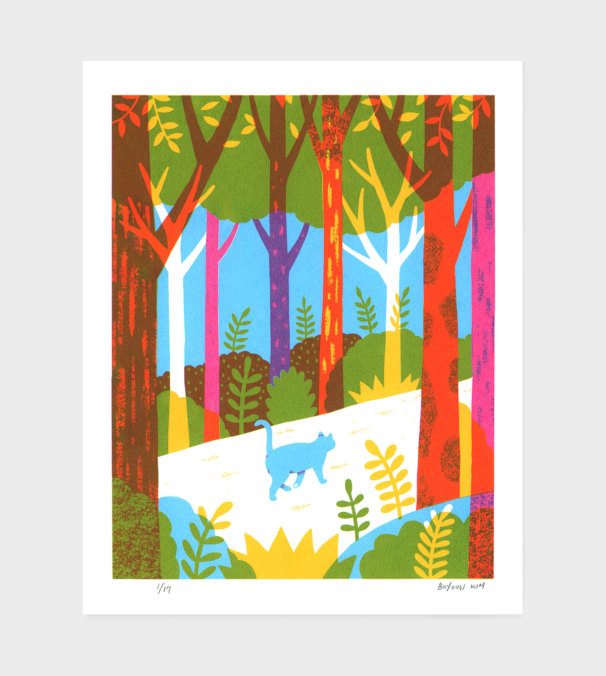 Forest Walk