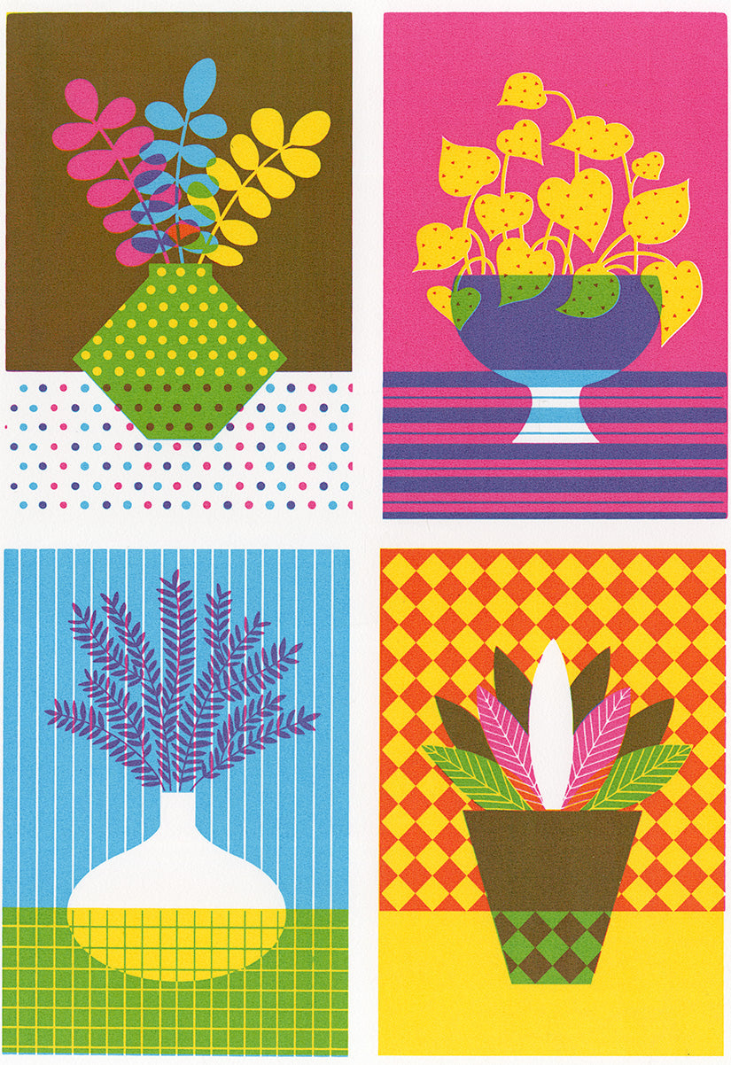 Potted Plants